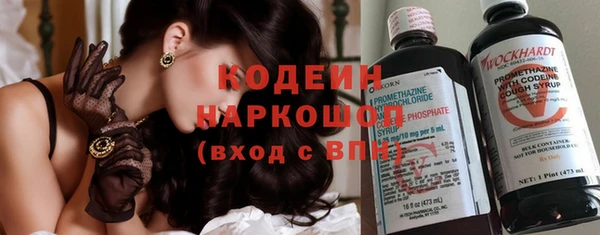 спиды Инсар