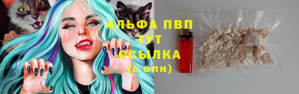 спиды Инсар