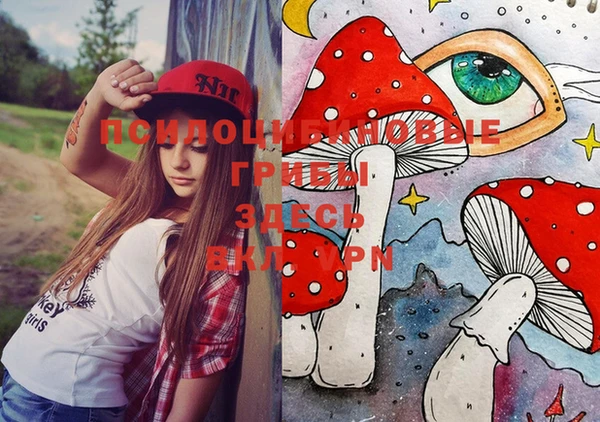 PSILOCYBIN Инта