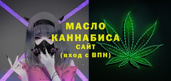 спиды Инсар