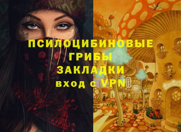 PSILOCYBIN Инта