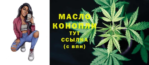 спиды Инсар